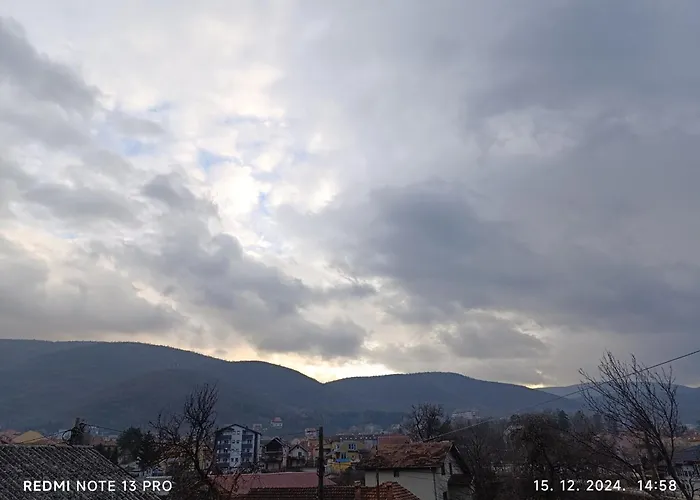 Garfield Family 1 ソコバニャ